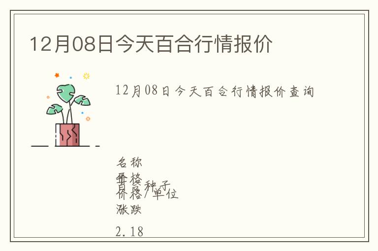 12月08日今天百合行情報價