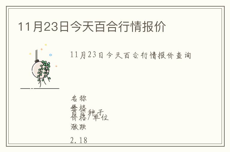 11月23日今天百合行情報價