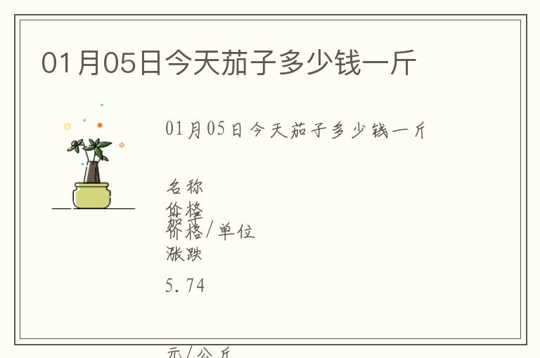 01月05日今天茄子多少錢一斤