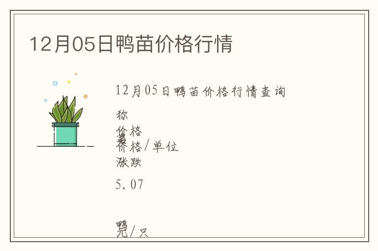 12月05日鴨苗價格行情