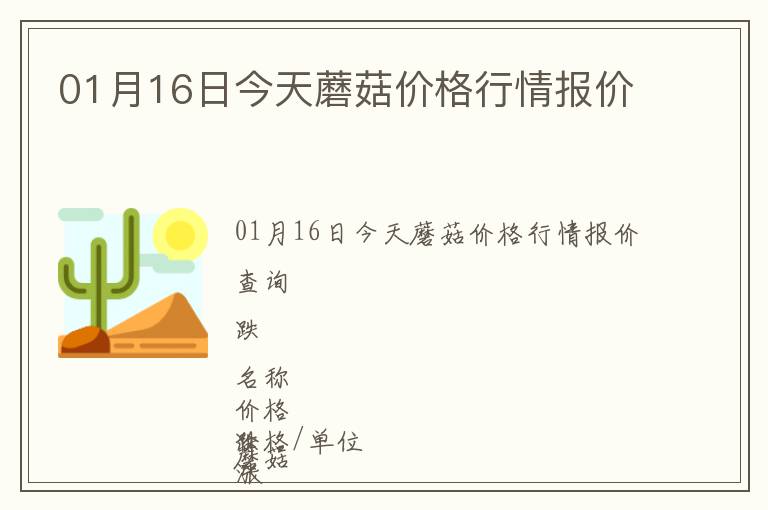 01月16日今天蘑菇價格行情報價