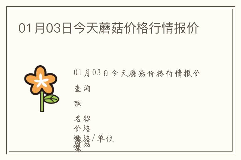 01月03日今天蘑菇價格行情報價