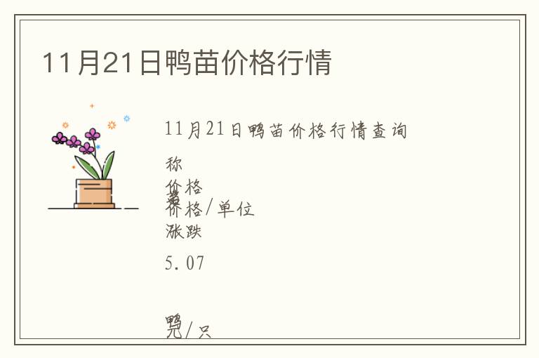 11月21日鴨苗價格行情