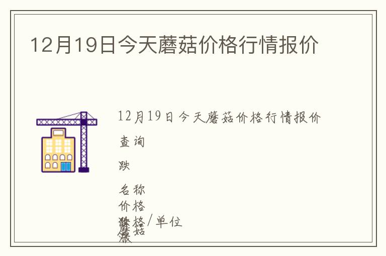 12月19日今天蘑菇價格行情報價