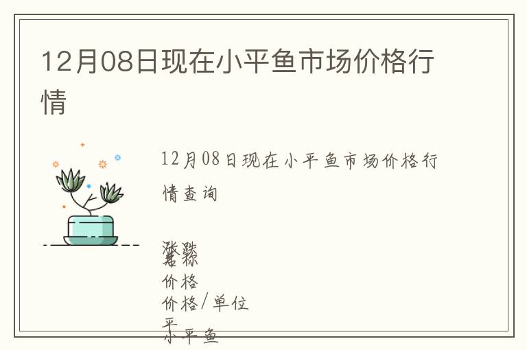 12月08日現在小平魚市場價格行情