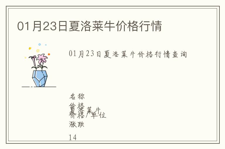 01月23日夏洛萊牛價格行情