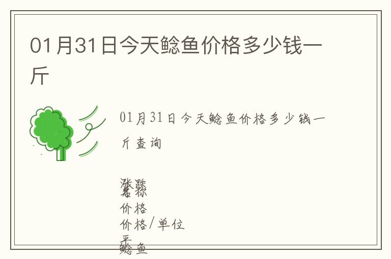 01月31日今天鯰魚價格多少錢一斤