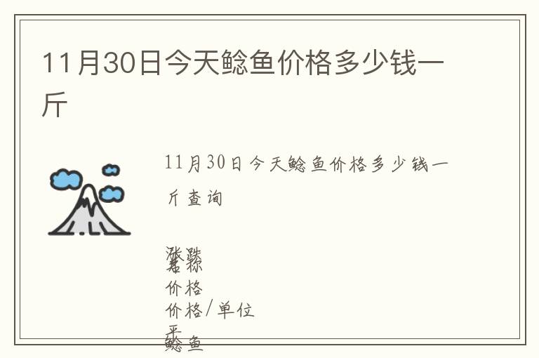 11月30日今天鯰魚價格多少錢一斤