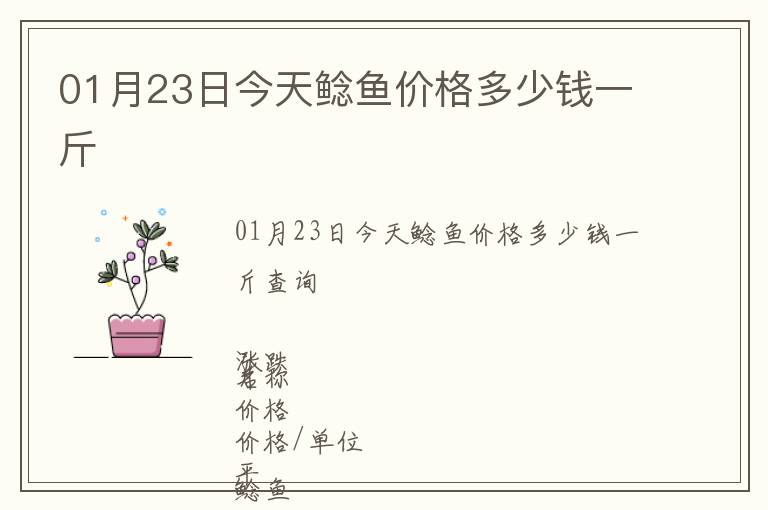 01月23日今天鯰魚價格多少錢一斤