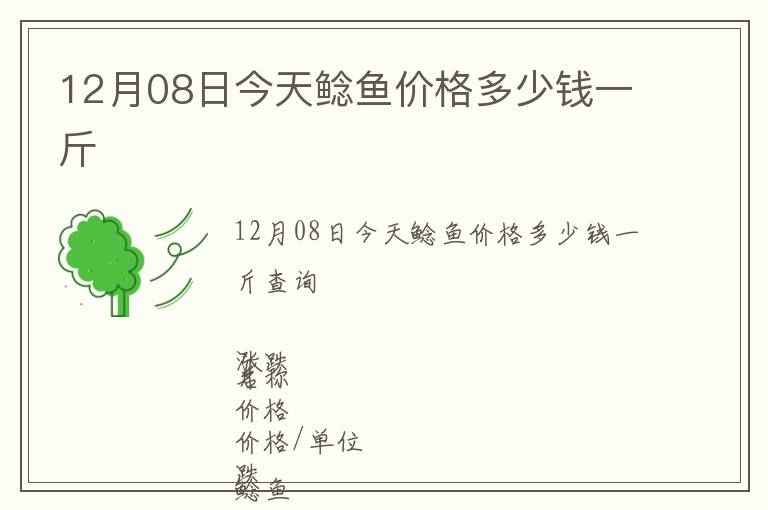 12月08日今天鯰魚價格多少錢一斤