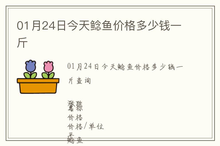 01月24日今天鯰魚價格多少錢一斤