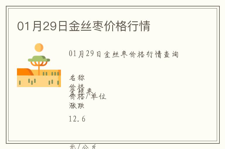 01月29日金絲棗價格行情
