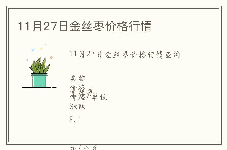 11月27日金絲棗價格行情