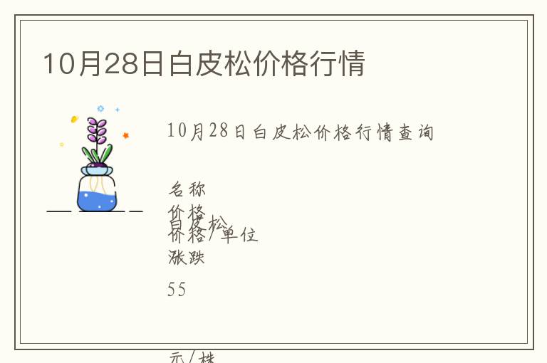 10月28日白皮松價格行情