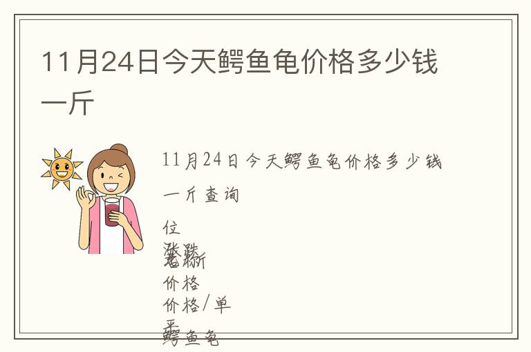 11月24日今天鱷魚龜價格多少錢一斤