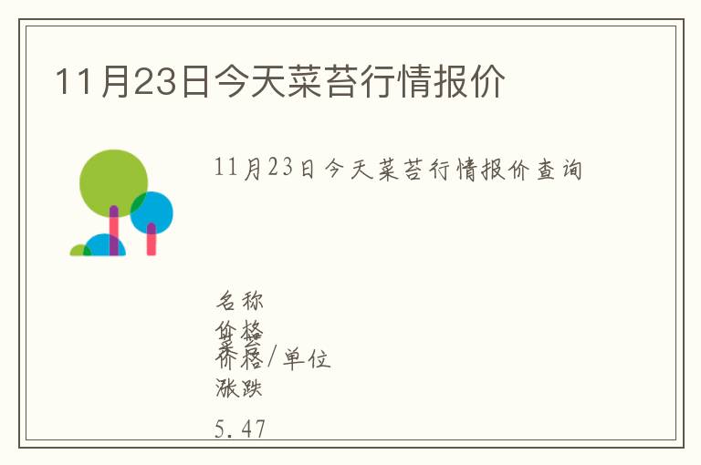 11月23日今天菜苔行情報價