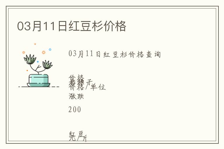 03月11日紅豆杉價格