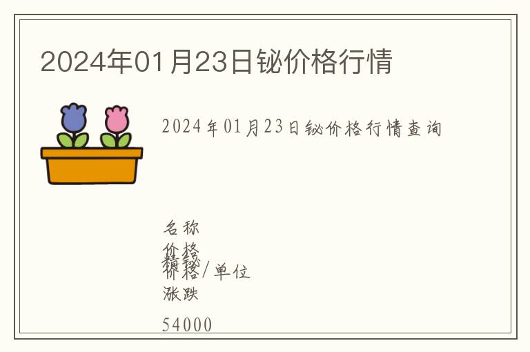2024年01月23日鉍價格行情