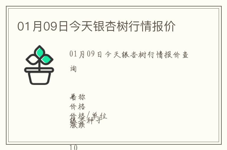 01月09日今天銀杏樹行情報價