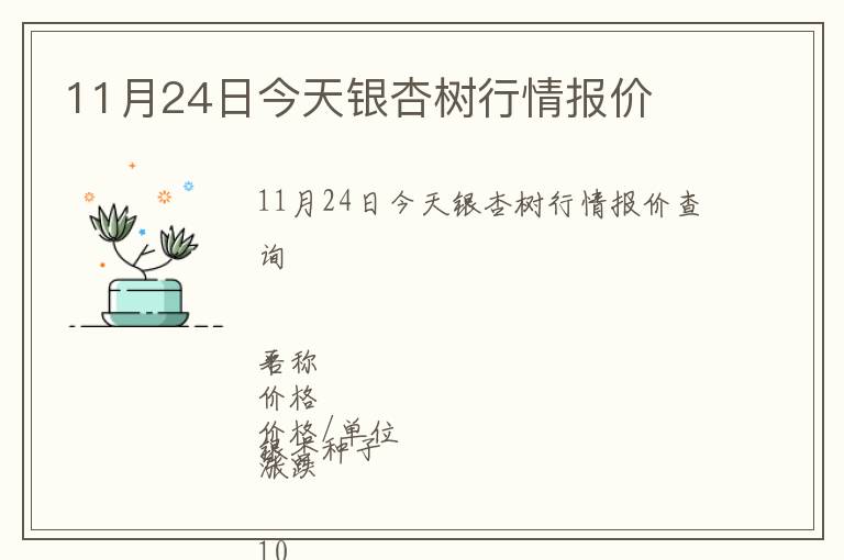11月24日今天銀杏樹行情報價