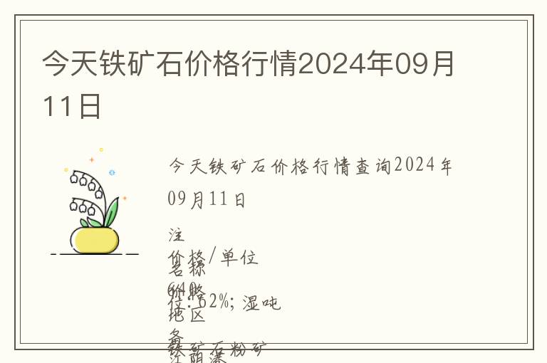 今天鐵礦石價格行情2024年09月11日