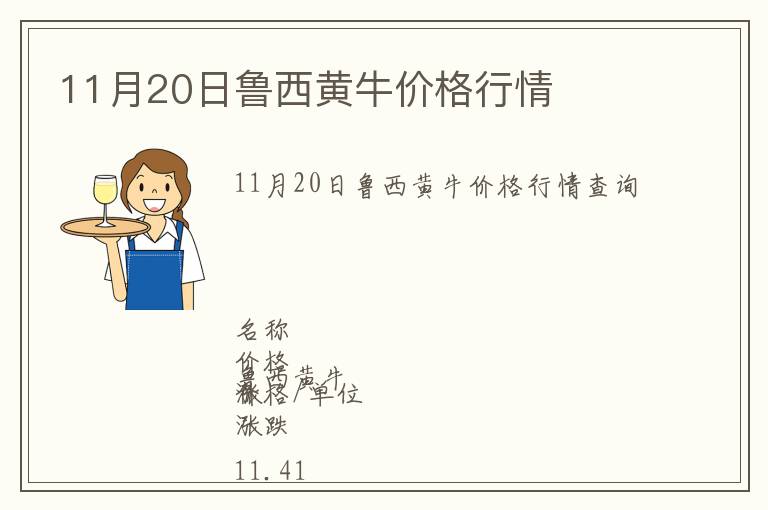 11月20日魯西黃牛價格行情