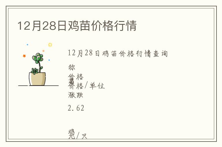 12月28日雞苗價格行情