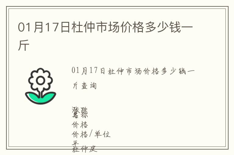 01月17日杜仲市場價格多少錢一斤