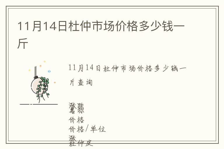 11月14日杜仲市場價格多少錢一斤