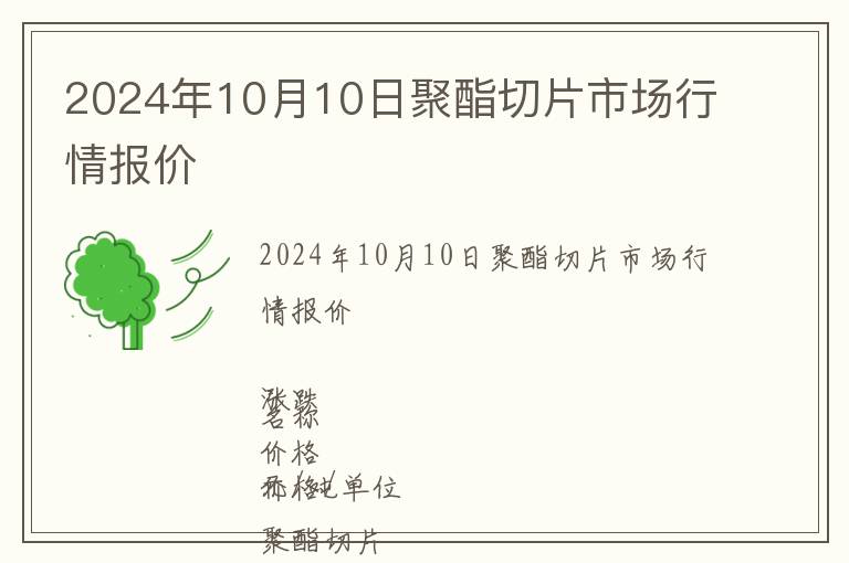 2024年10月10日聚酯切片市場行情報價