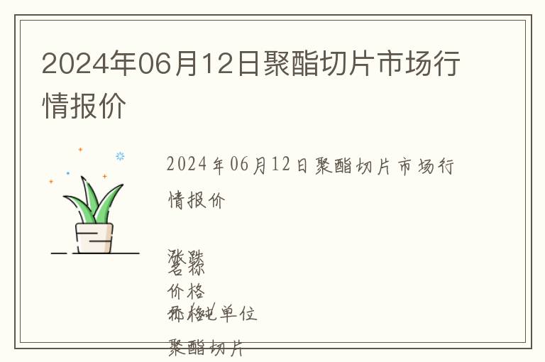 2024年06月12日聚酯切片市場行情報價