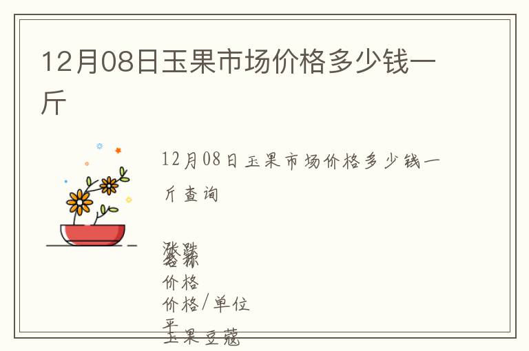 12月08日玉果市場價格多少錢一斤
