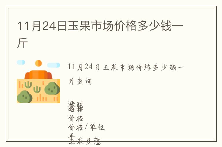 11月24日玉果市場價格多少錢一斤