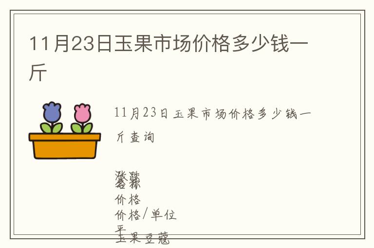 11月23日玉果市場價格多少錢一斤
