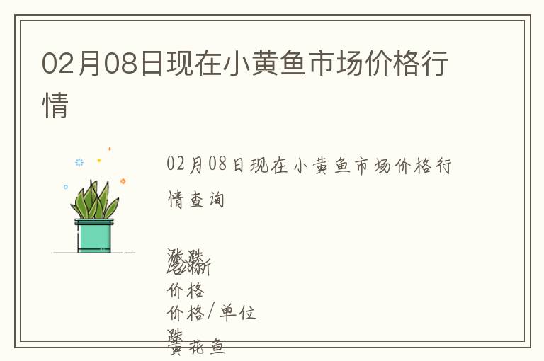 02月08日現在小黃魚市場價格行情