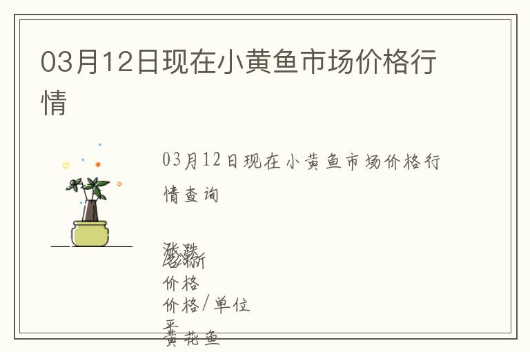 03月12日現在小黃魚市場價格行情