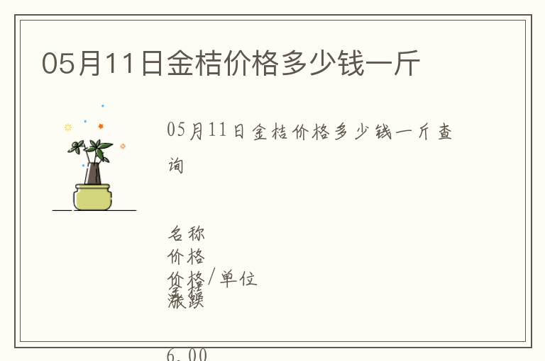 05月11日金桔價格多少錢一斤