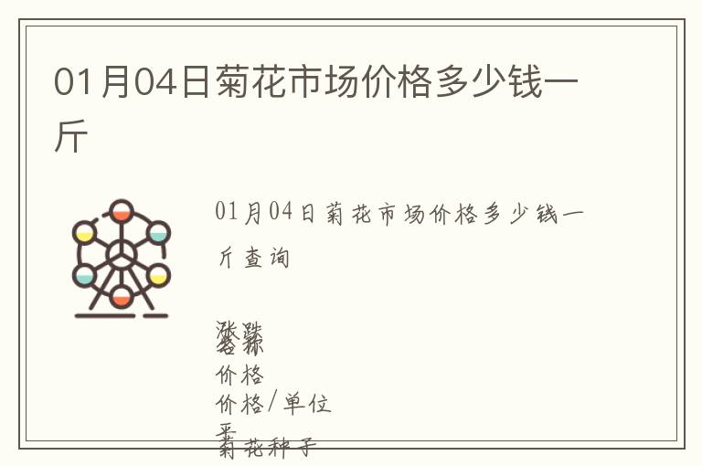 01月04日菊花市場價格多少錢一斤
