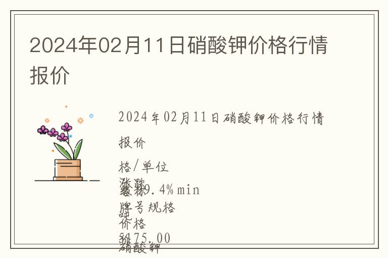 2024年02月11日硝酸鉀價格行情報價