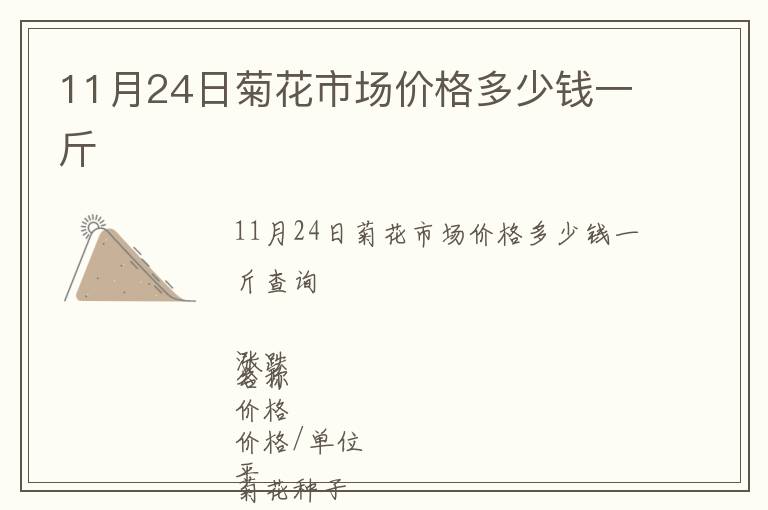 11月24日菊花市場價格多少錢一斤