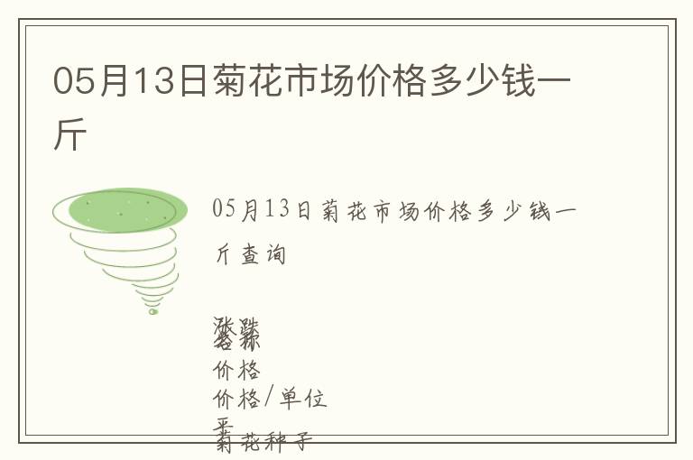 05月13日菊花市場價格多少錢一斤