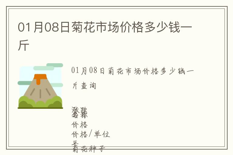 01月08日菊花市場價格多少錢一斤