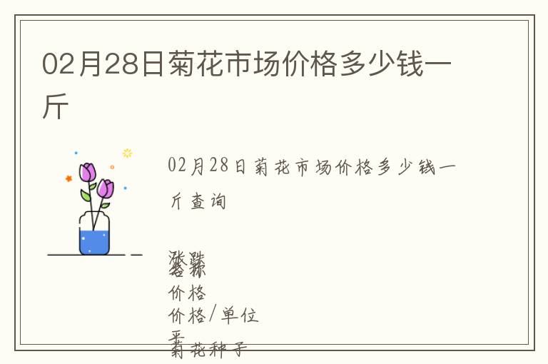 02月28日菊花市場價格多少錢一斤