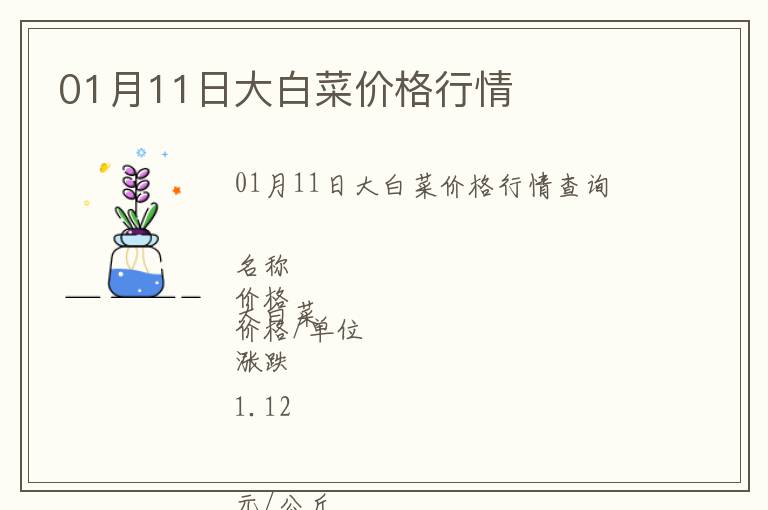 01月11日大白菜價格行情