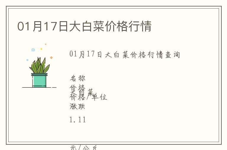 01月17日大白菜價格行情