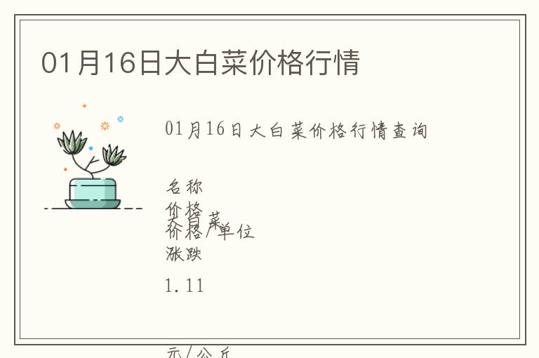 01月16日大白菜價格行情