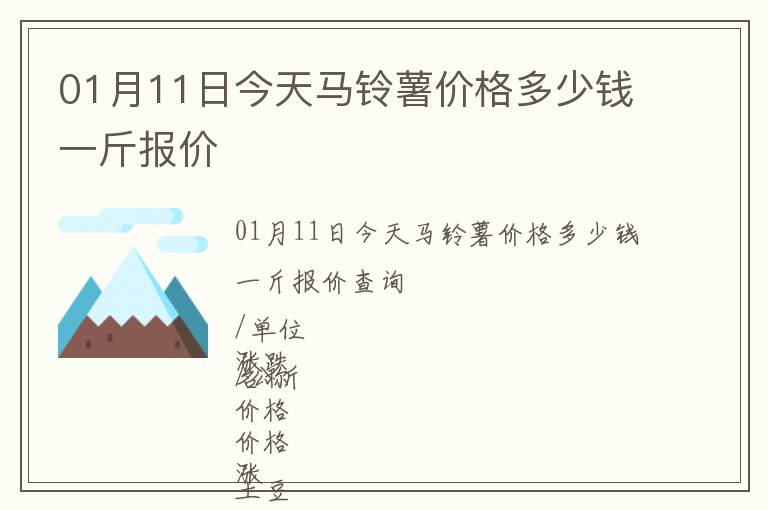 01月11日今天馬鈴薯價格多少錢一斤報價