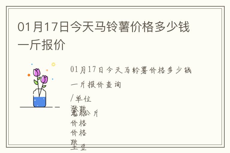 01月17日今天馬鈴薯價格多少錢一斤報價