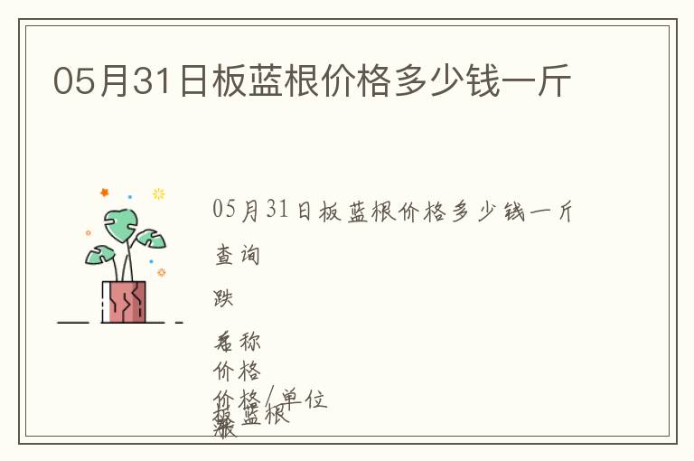 05月31日板藍根價格多少錢一斤