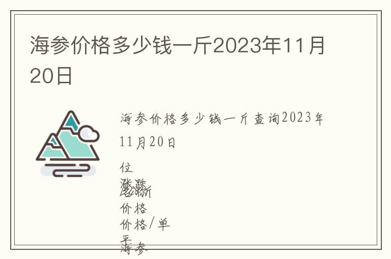 海參價格多少錢一斤2023年11月20日